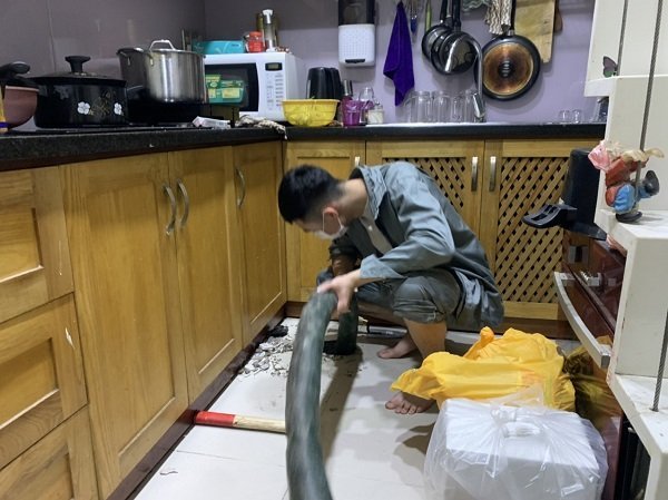 Bể phốt trước khi hút